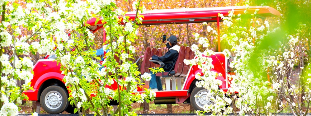 Yushui Village Cultural Experience: Your Ultimate Visit Guide